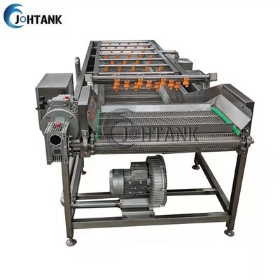 SUS304 Bubble Washer Untuk Jalur Pengolahan Buah Dan Sayuran