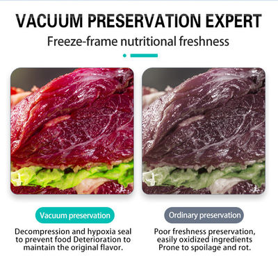 Makanan Laut Daging Asin Ikan Kering Daging Babi Nasi Daging Sapi Double Chamber Vacuum Packer