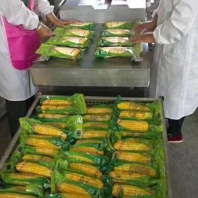 Mesin Pengemas Vakum Ruang Kantong Plastik, Mesin Pengemas Vakum Industri